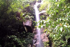 Permata Tersembunyi Pulau Natuna